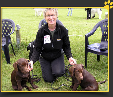 Hundewelt Schlalach - Hundeschule