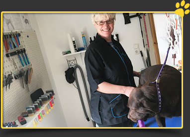 Hundewelt Schlalach - Salon 